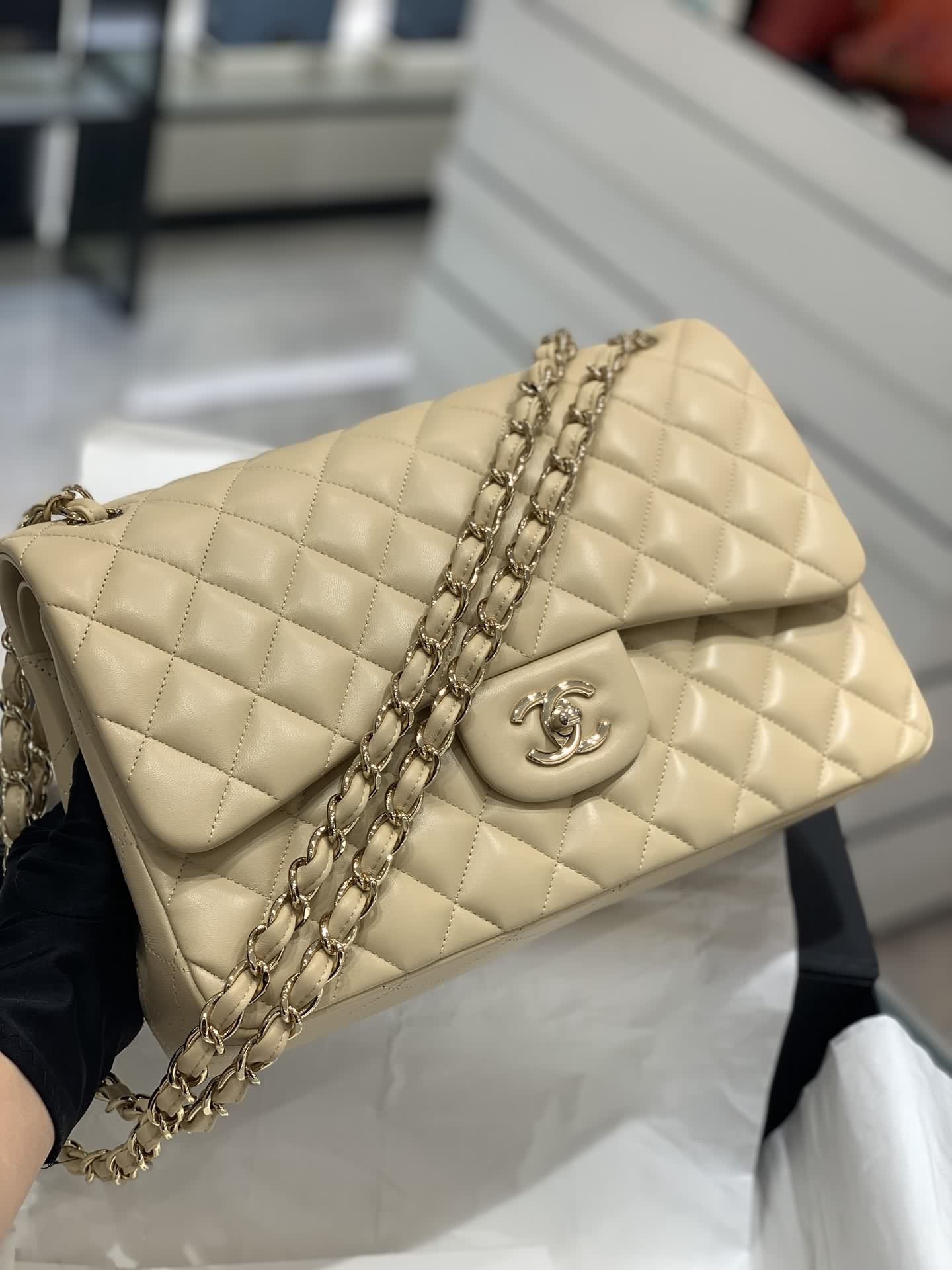 30cm杏羊淺金