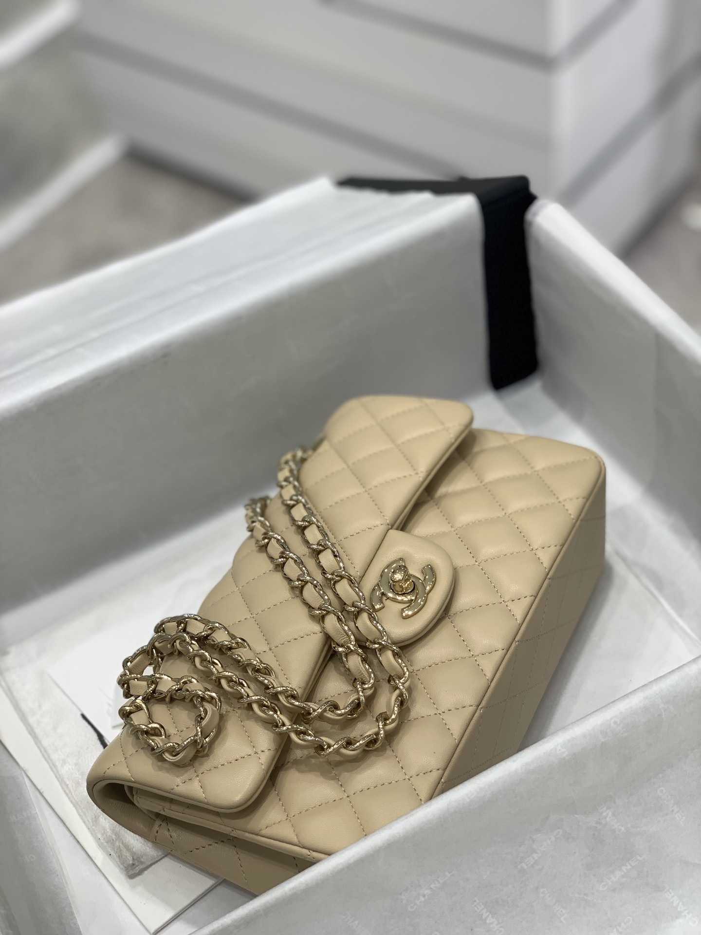 23cm杏色淺金扣帶晶片