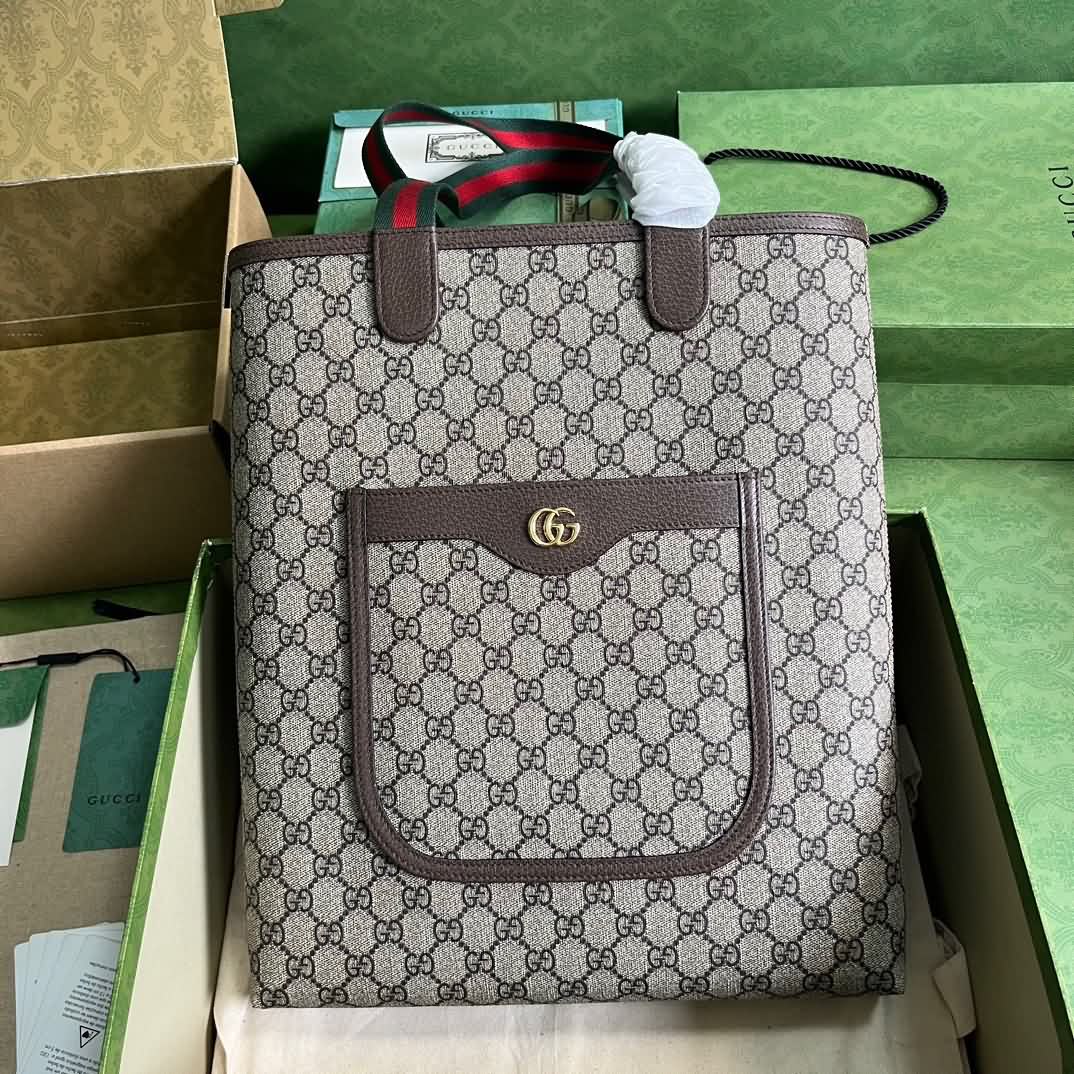 Ophidia系列GG小號托特包