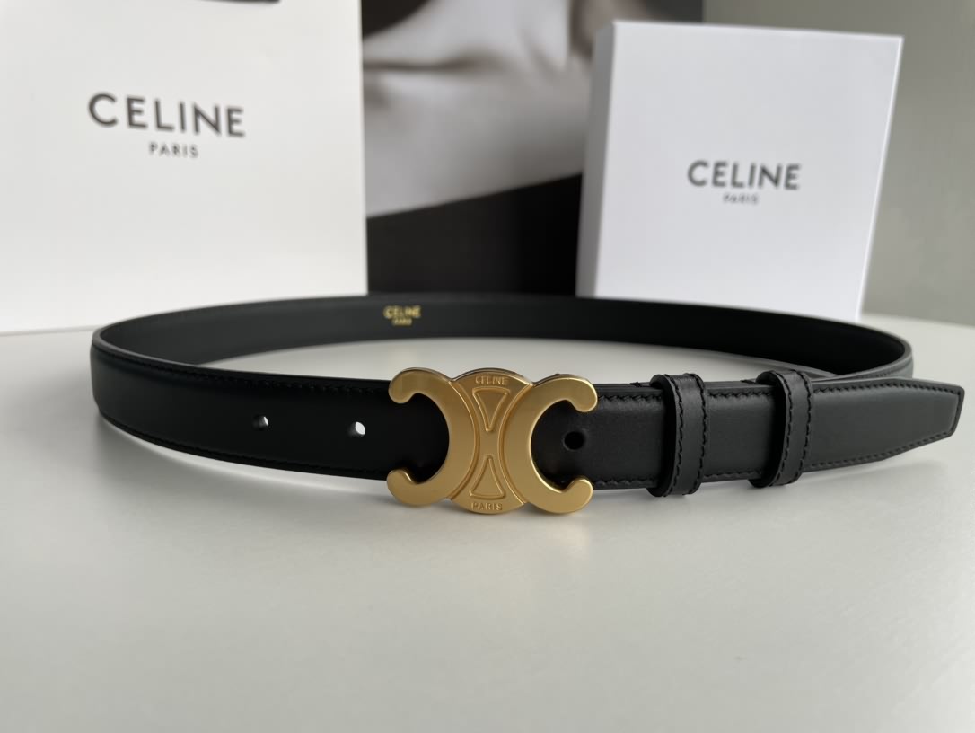 CELINE賽琳凱旋門徽標金扣潮流腰帶