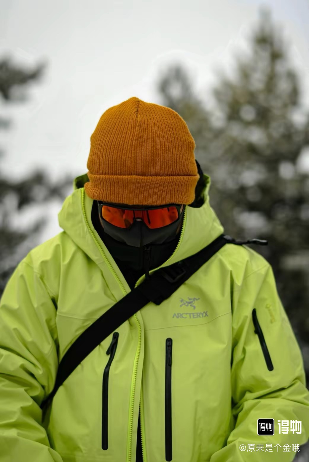 第六代SV 始祖鳥Arcteryx AlPha SV GTX 嚮導級5色硬殼衝鋒衣