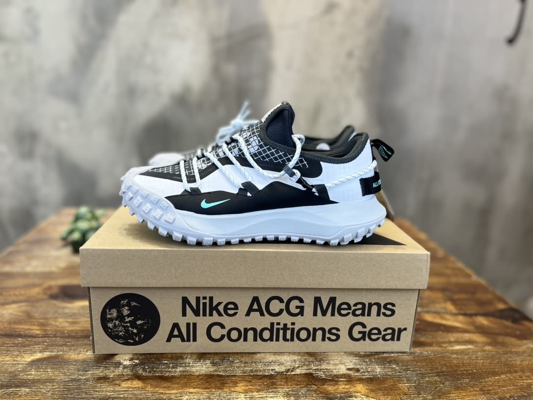 NK ACG Mountain Fly Low GTX SE 戶外登山運動鞋