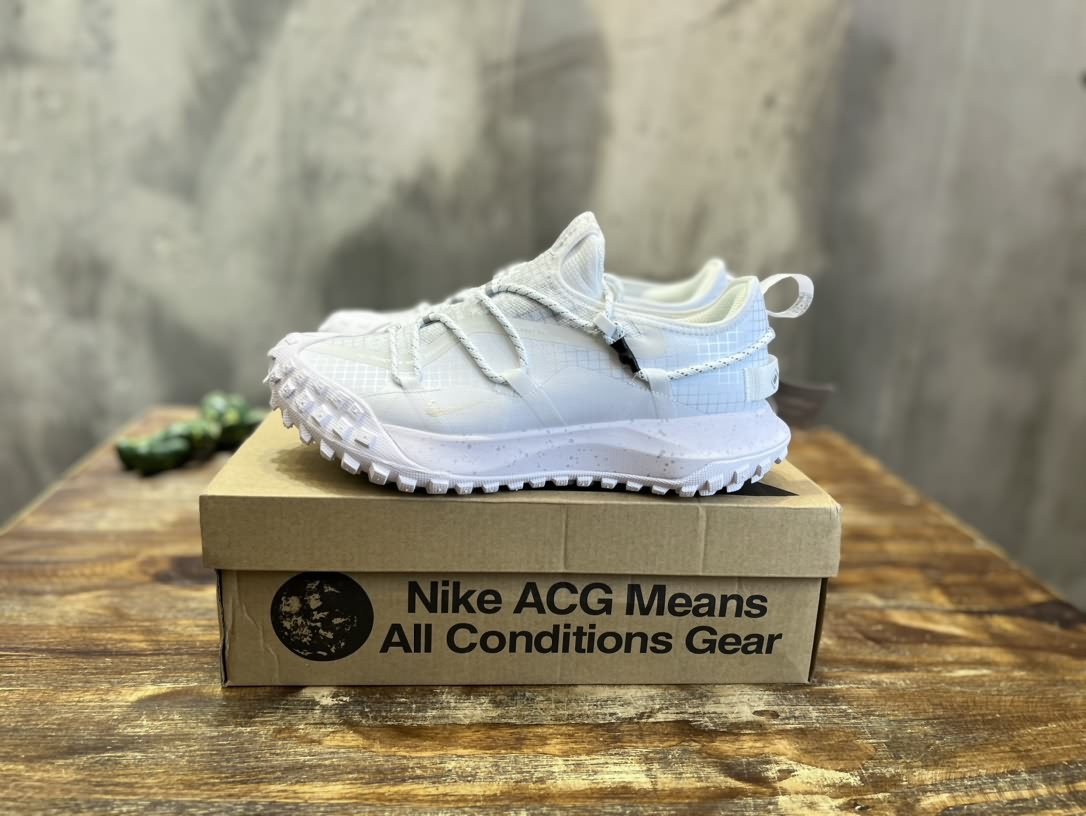 NK ACG Mountain Fly Low GTX SE 戶外登山運動鞋