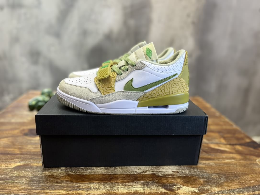 Air Jordan 312